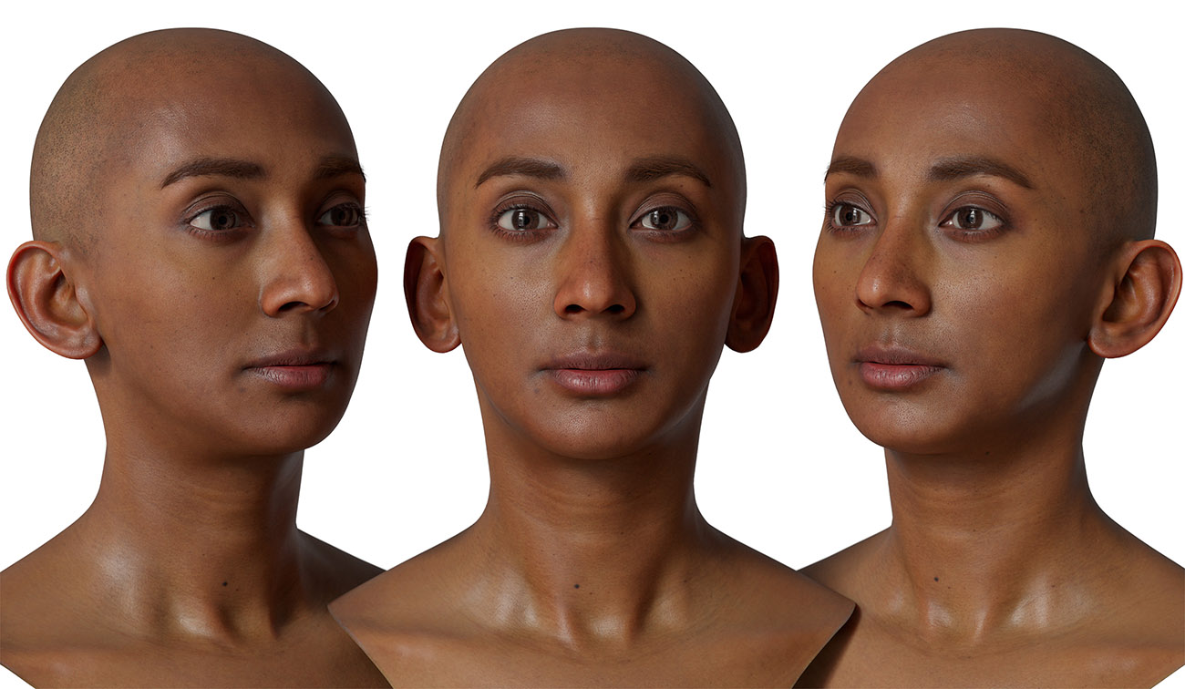 Male 3d head scan download